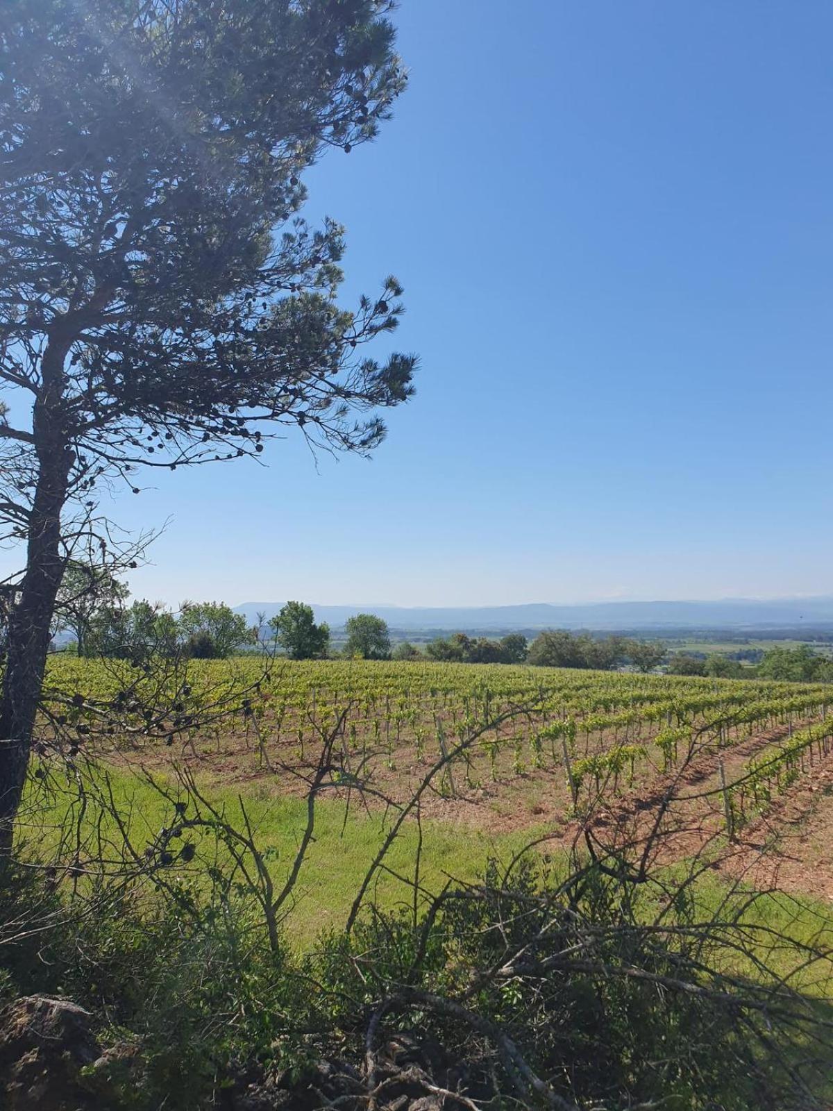 Maison De Charme Caunes-Minervois Екстериор снимка